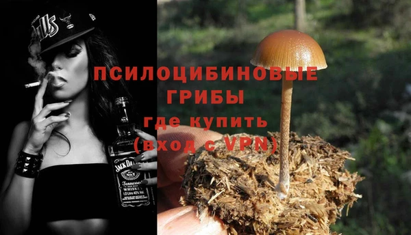 PSILOCYBIN Вяземский