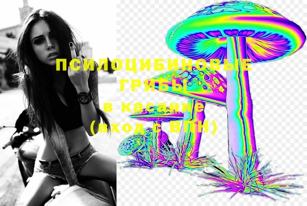 сатива Белокуриха