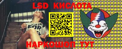 твердый Будённовск