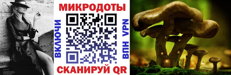 mega ссылки  купить наркотики цена  Горячий Ключ  Псилоцибиновые грибы Magic Shrooms 