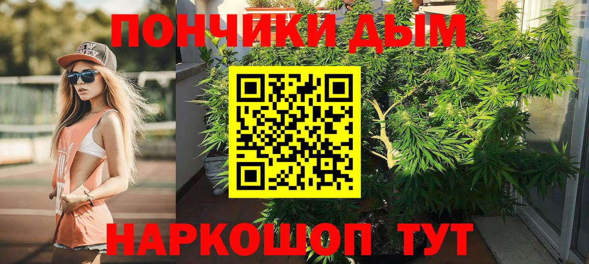 Каннабис MAZAR  Марихуана план  Горячий Ключ 